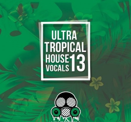 Vandalism Ultra Tropical House Vocals 13 WAV MiDi